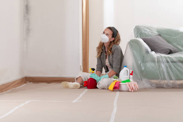 Reliable Mold Remediation contractor in Waldwick, NJ by Cheap Mold Removal